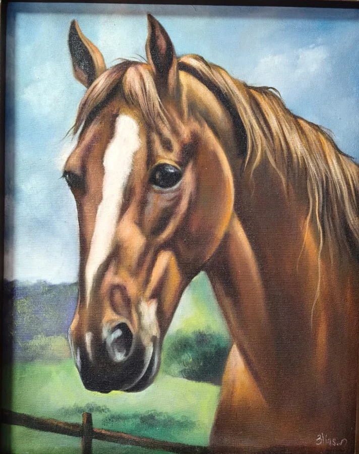 Nobleza de espíritu